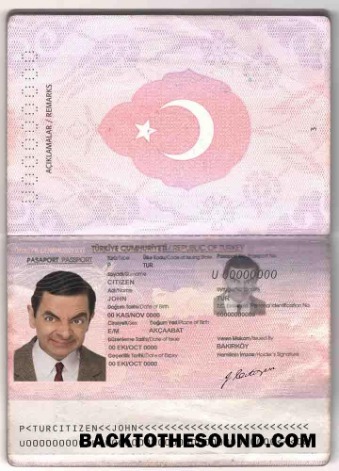 İndir Türkiye Pasaport in PSD Format, fully Düzenlenebilir (2010 2018) Örnek ön izleme