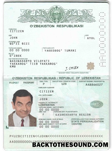 İndir Özbekistan Pasaport Örnek ön izleme