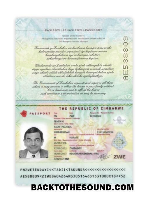 İndir Zimbabve Pasaport 2023 Mevcut Örnek ön izleme