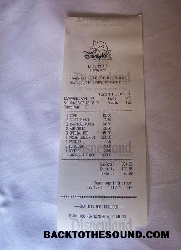 Λήψη Disneyland Πληρωμή Απόδειξη Δείγμα προεπισκόπηση