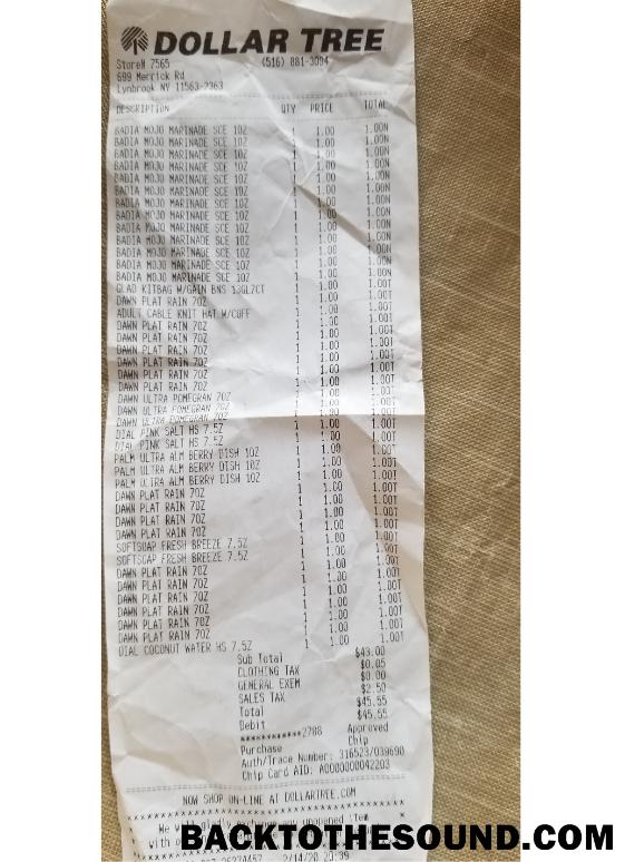 Λήψη Dollar tree store check Δείγμα προεπισκόπηση