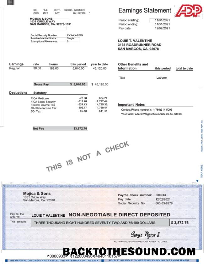 İndir ADP earnings Hesap Özeti Word and PDF Örnek örnek