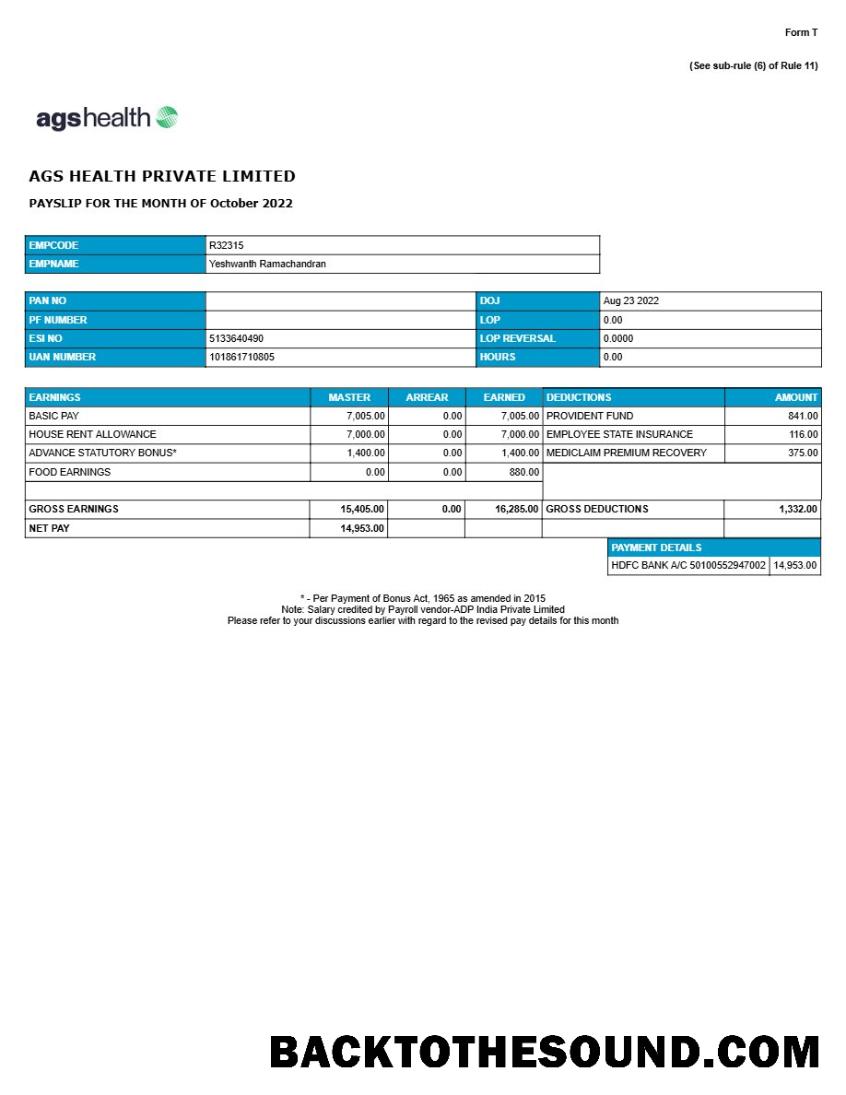 İndir AGS Sağlık management Şirket payslip in Word and PDF Formatlar.PDF, 1 Örnek şablon