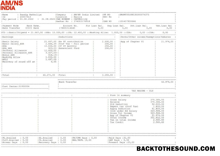İndir AM NS Hindistan Paystub Örnek örnek