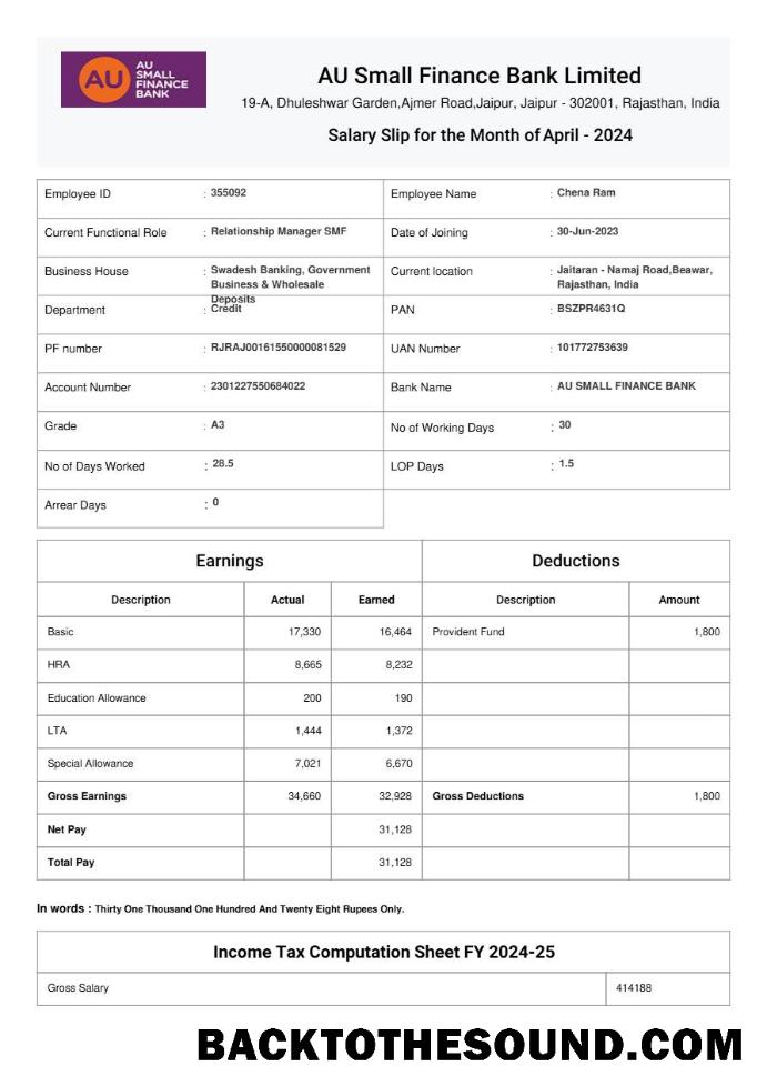 İndir AU Small Finans Banka salary slip in Word and PDF Formatlar.PDF, 1 Örnek şablon