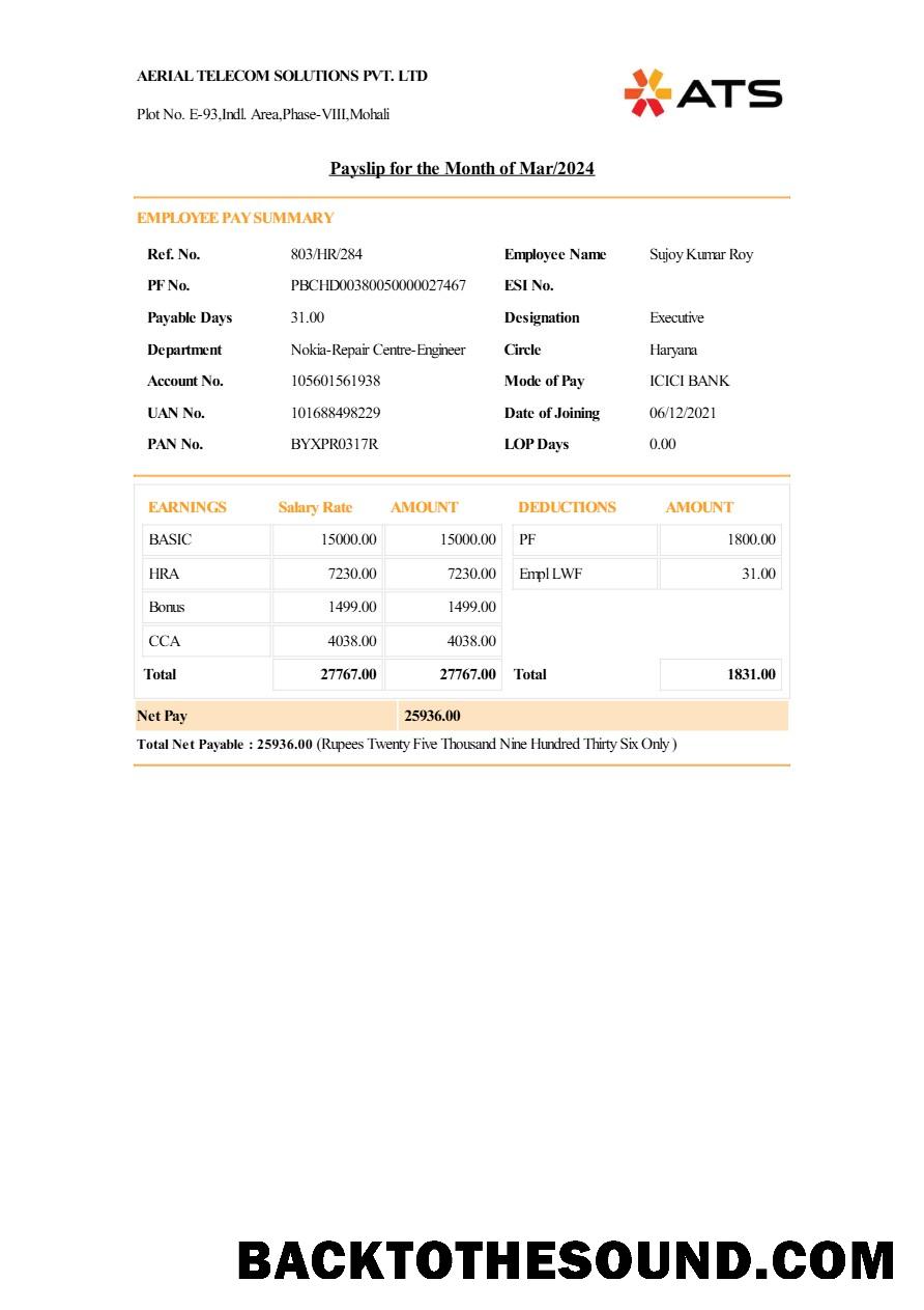 İndir Aerial Telecom Solutions payslip in Word and PDF Formatlar.PDF, 1 Örnek ön izleme
