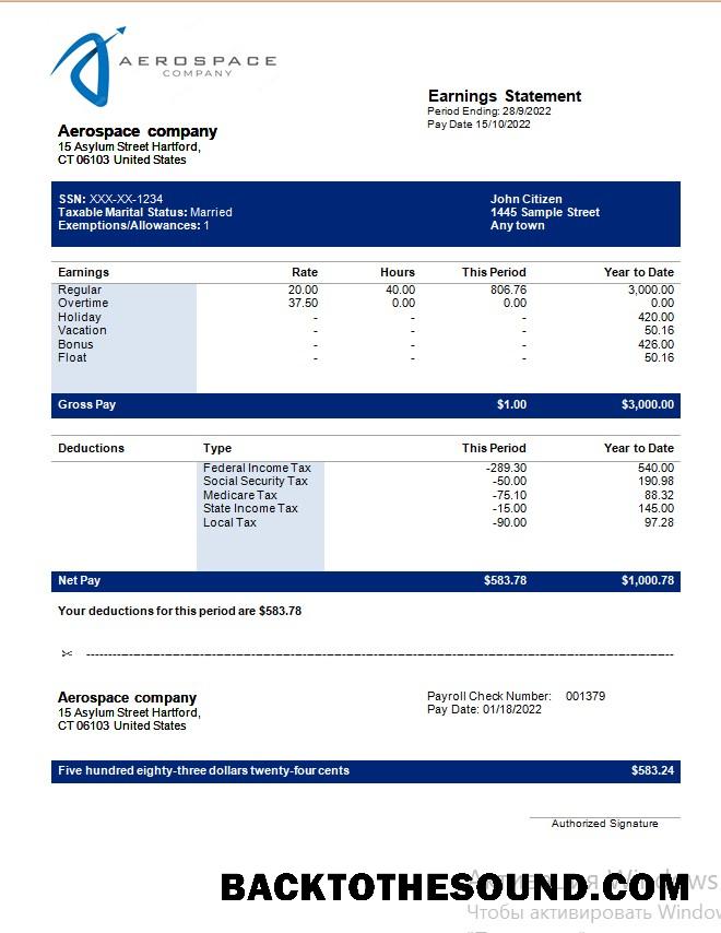 İndir Aerospace Şirket earning Hesap Özeti in Word and PDF Formatlar Örnek taslak