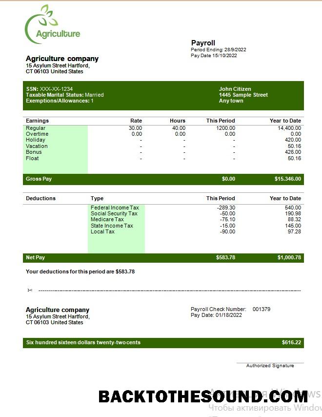 İndir Agricultural Şirket payroll in Word and PDF Formatlar Örnek şablon