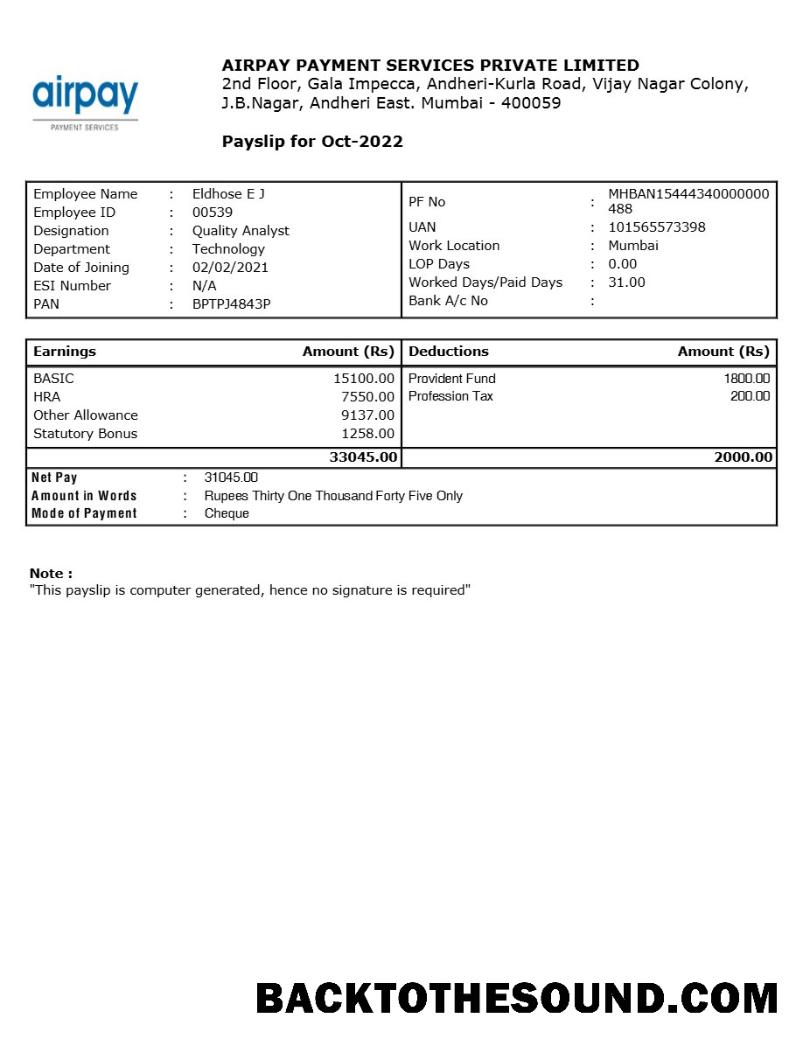 İndir Airpay Ödeme Services payslip in Word and PDF Formatlar.PDF, 1 Örnek taslak