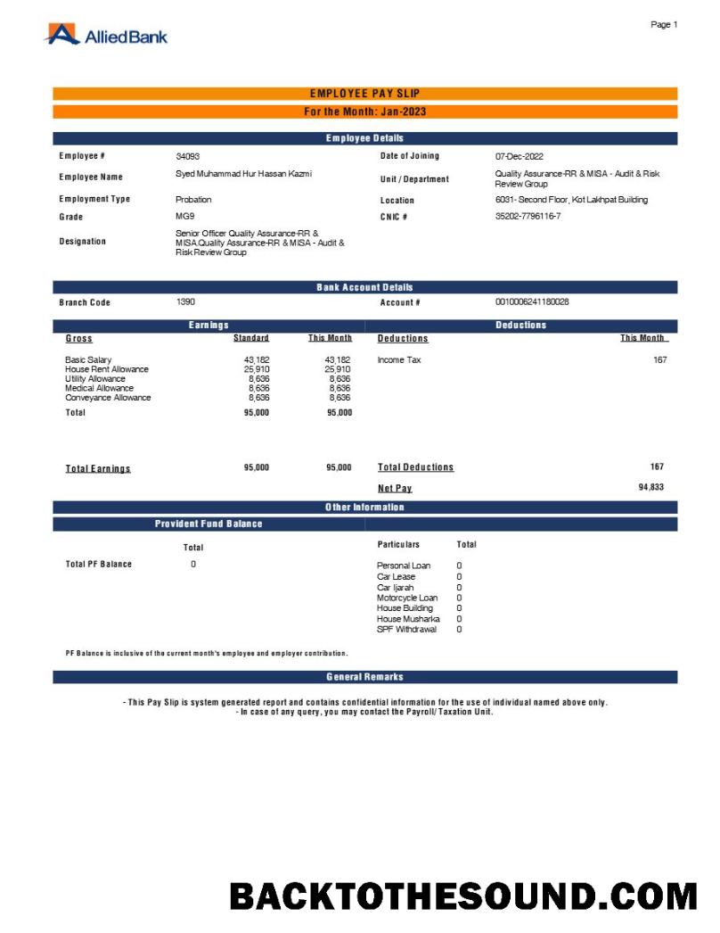 İndir Allied Banka employee payslip in Word and PDF Formatlar.PDF, 1 Örnek ön izleme