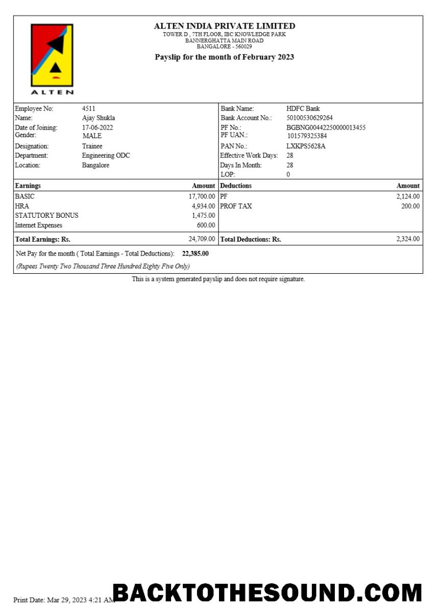 İndir Alten Hindistan payslip in Word and PDF Formatlar.PDF, 2 Örnek ön izleme