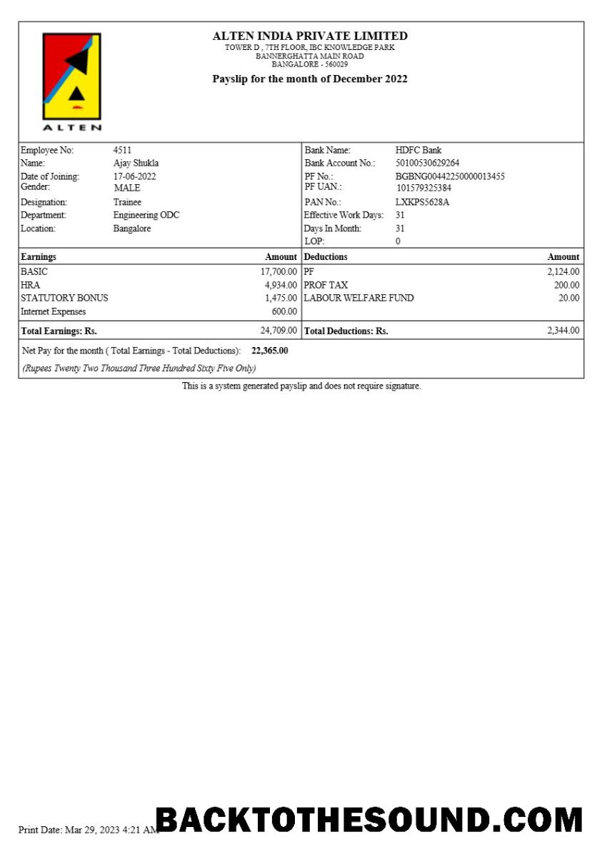 İndir Alten Hindistan payslip in Word and PDF Formatlar.PDF, 3 Örnek taslak