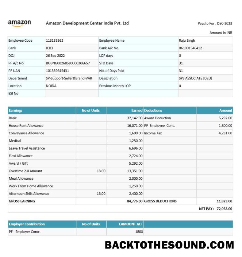 İndir Amazon geliştirme Center Hindistan payslip in Word and PDF Formatlar.PDF, 1 Örnek taslak