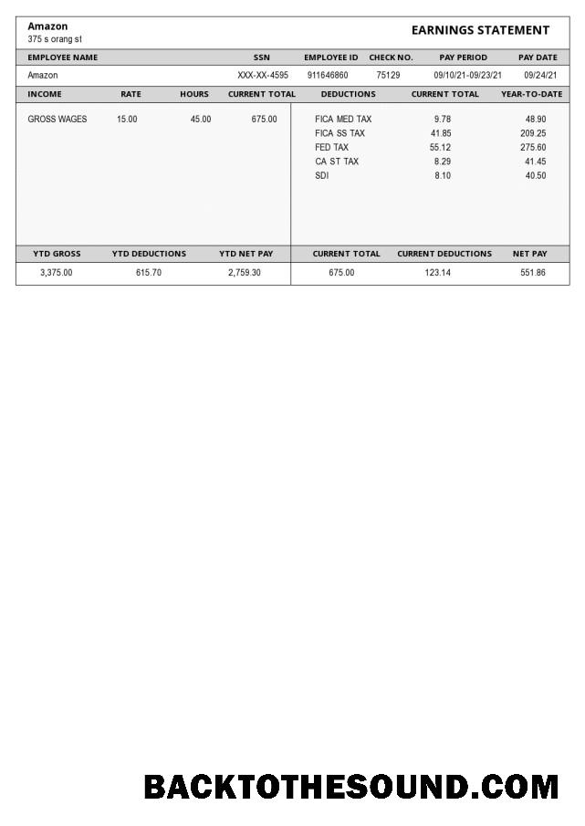 İndir Amazon Paystub Örnek tasarım