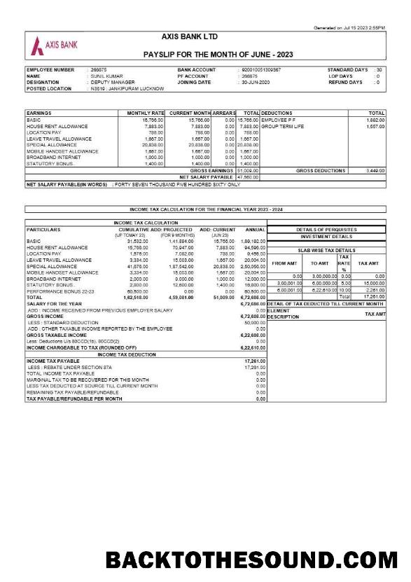 İndir Axis Banka payslip in Word and PDF Formatlar.PDF, 1 Örnek tasarım