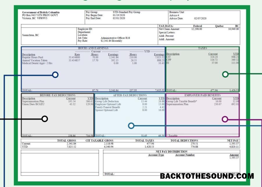 İndir BARGAINING UNIT employee pay stub Word and PDF Örnek şablon