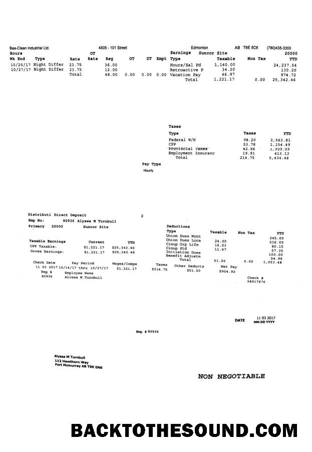 İndir Bee Clean Industrial Ltd. PayStub Örnek tasarım