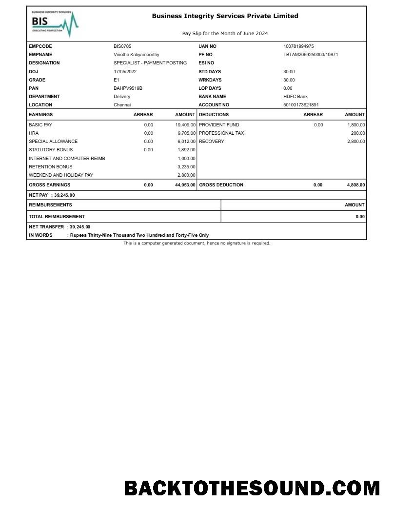İndir Kurumsal Integrity Services payslip in Word and PDF Formatlar.PDF, 1 Örnek şablon
