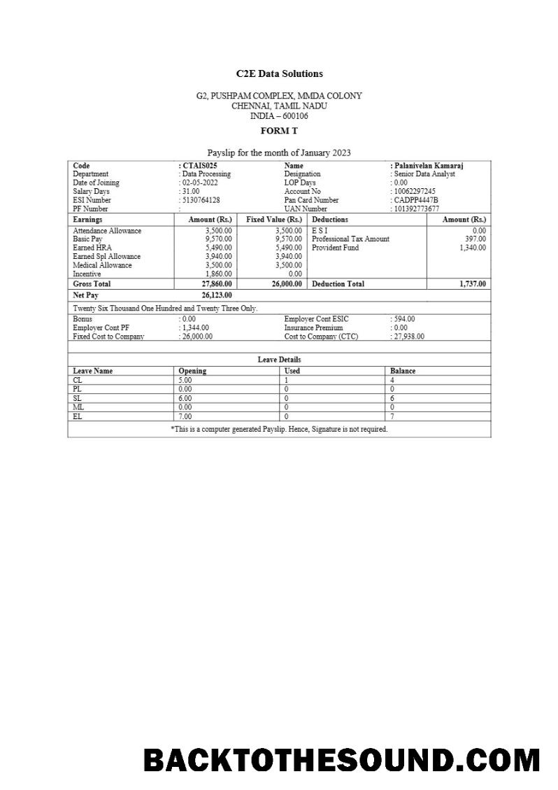 İndir C2E Veri Solutions payslip in Word and PDF Formatlar.PDF, 1 Örnek örnek