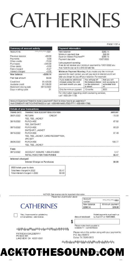 İndir CATHERINES earnings Hesap Özeti in Word and PDF Formatlar.PDF, 1 Örnek taslak