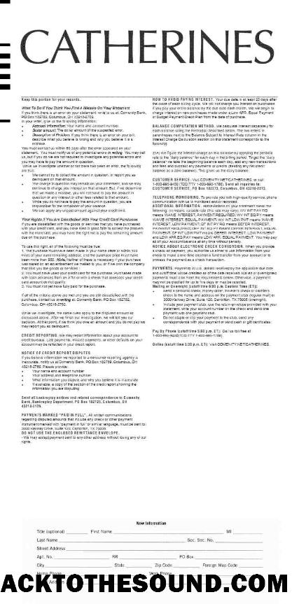 İndir CATHERINES earnings Hesap Özeti in Word and PDF Formatlar.PDF, 2 Örnek şablon