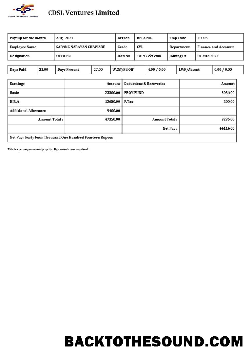 İndir CDSL Ventures Limited payslip in Word and PDF Formatlar.PDF, 1 Örnek taslak