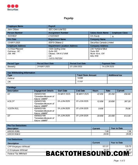 İndir Kanada Online Payslip Word and PDF Örnek taslak