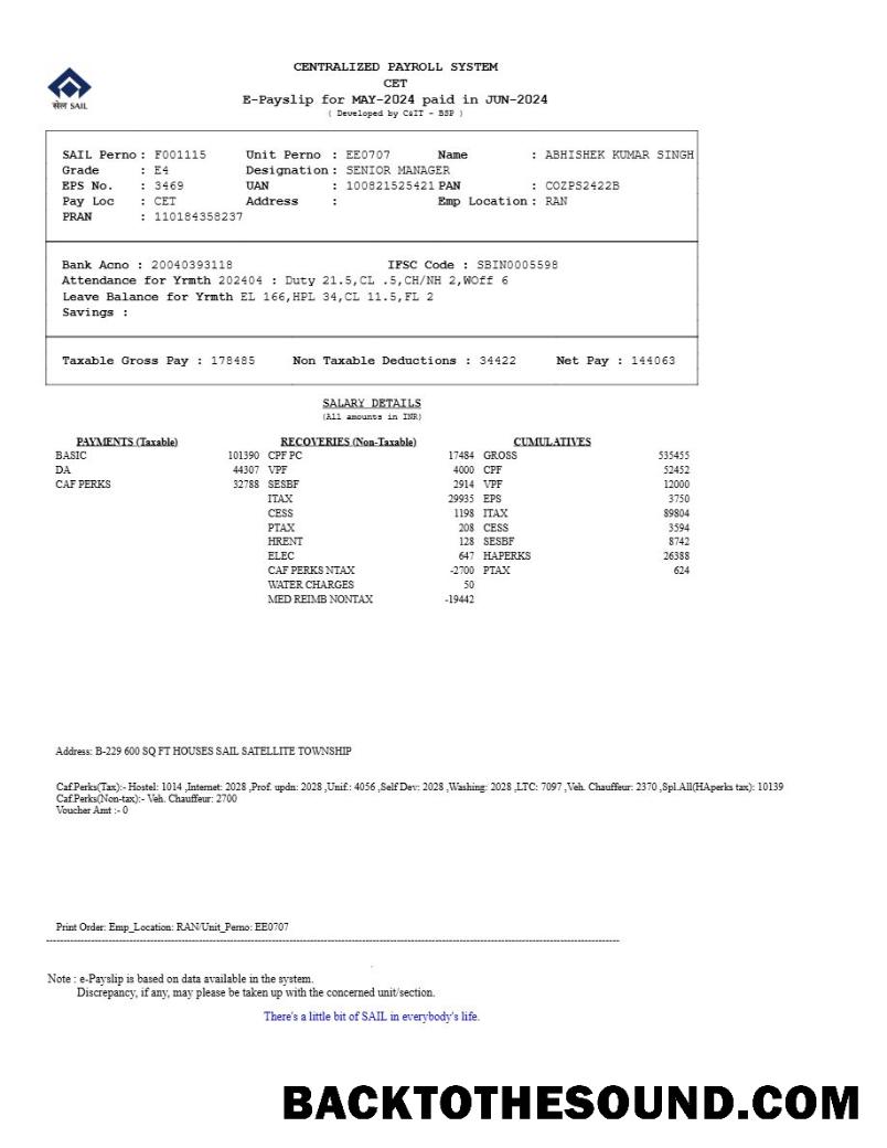 İndir Centralized Payroll Sistem payslip in Word and PDF Formatlar.PDF, 1 Örnek taslak
