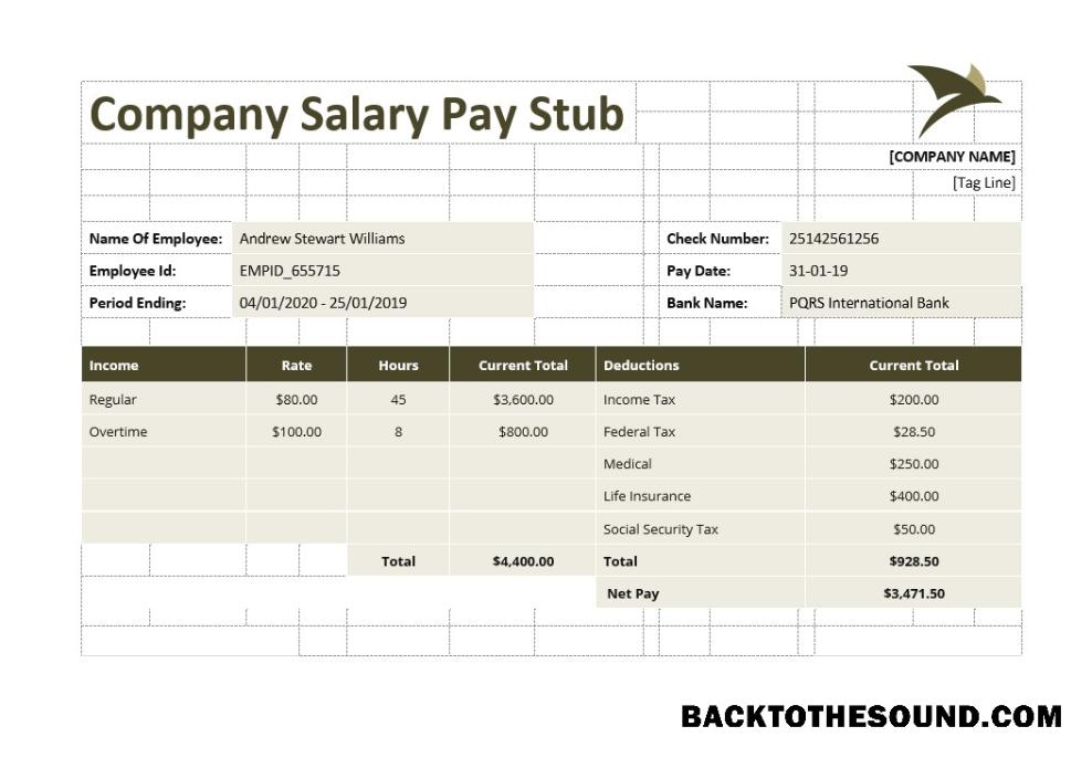 İndir Şirket Salary Pay Stub Örnek tasarım