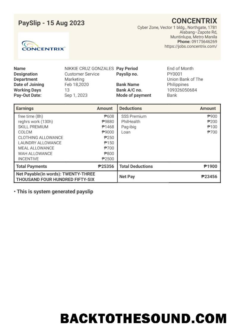 İndir Concentrix Teknoloji and services payslip in Word and PDF Formatlar.PDF, 1 Örnek şablon