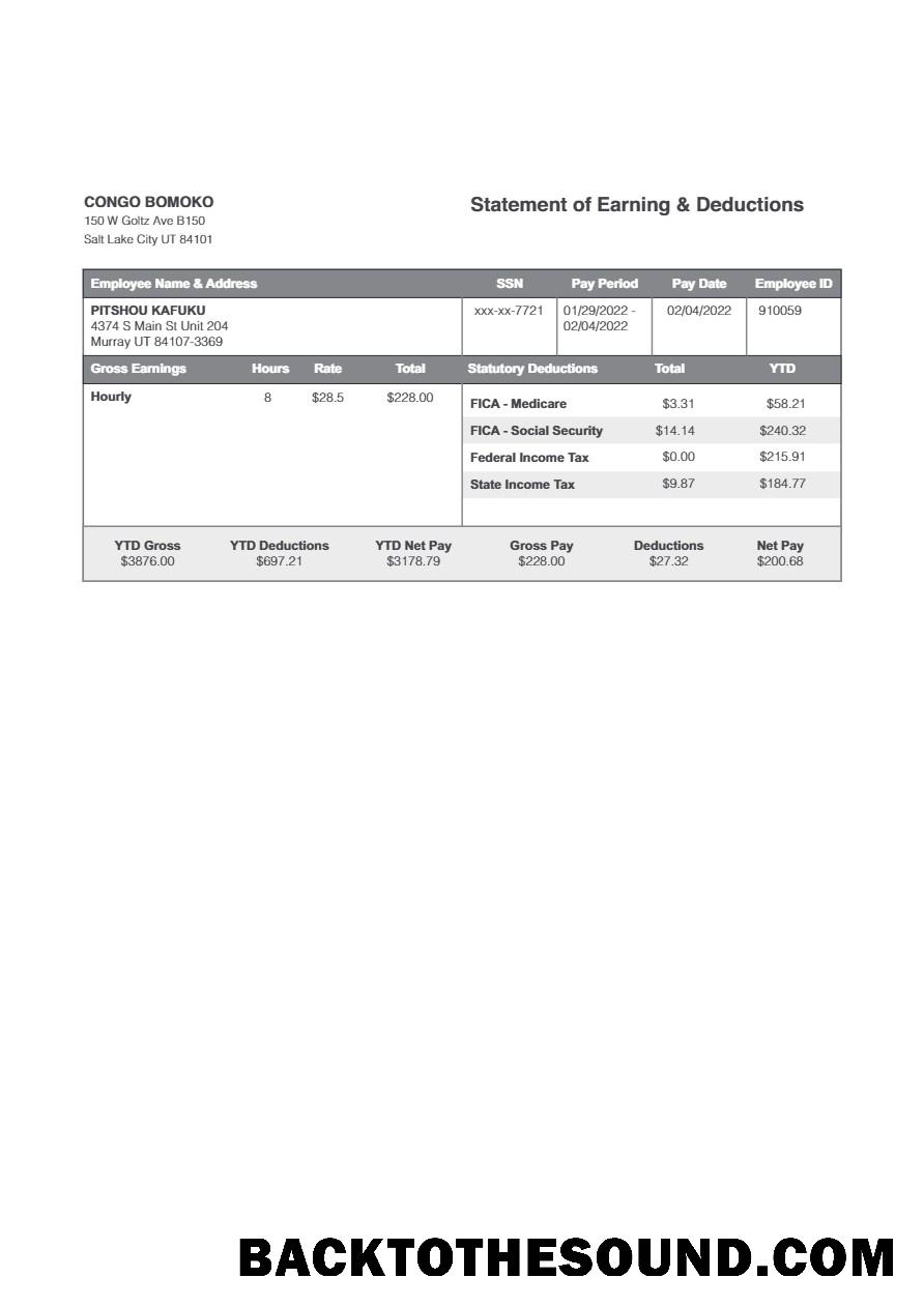 İndir Kongo Bomoko Hesap Özeti of earning & deductions in Word and PDF Formatlar.PDF, 1 Örnek taslak