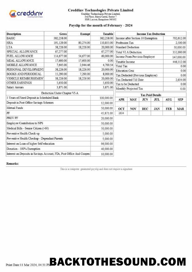 İndir Creddinv Technologies payslip in Word and PDF Formatlar.PDF, 2 Örnek ön izleme