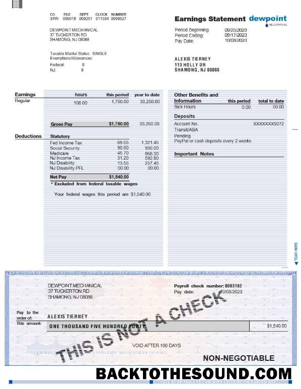 İndir DEWPOINT MECHANICAL earnings Hesap Özeti in Word and PDF Formatlar.PDF, 1 Örnek taslak