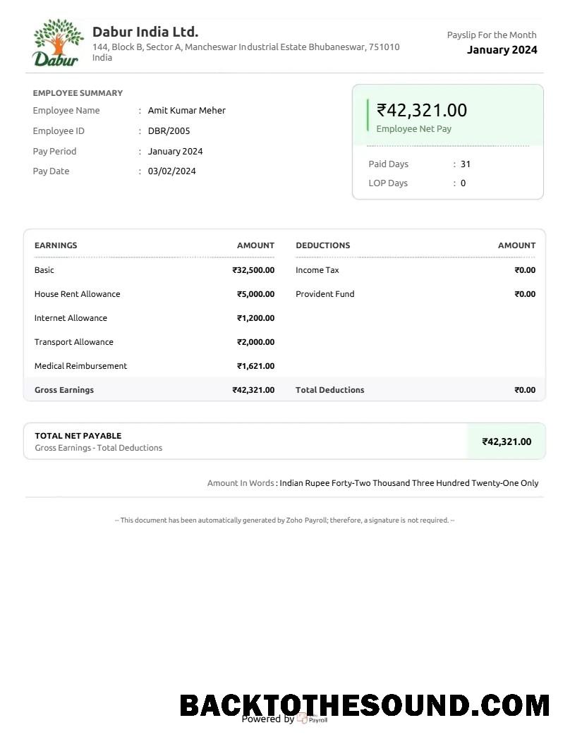 İndir Dabur Hindistan Mal Şirket payslip in Word and PDF Formatlar.PDF, 1 Örnek örnek