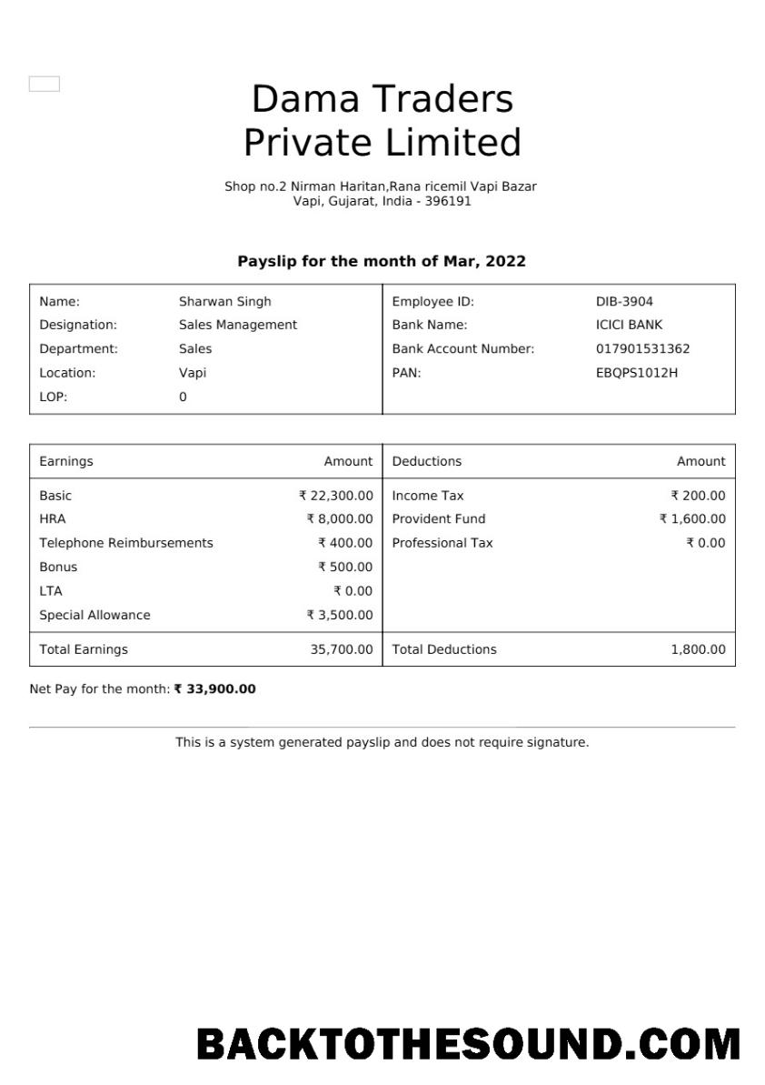 İndir Dama Traders payslip in Word and PDF Formatlar.PDF, 1 Örnek örnek