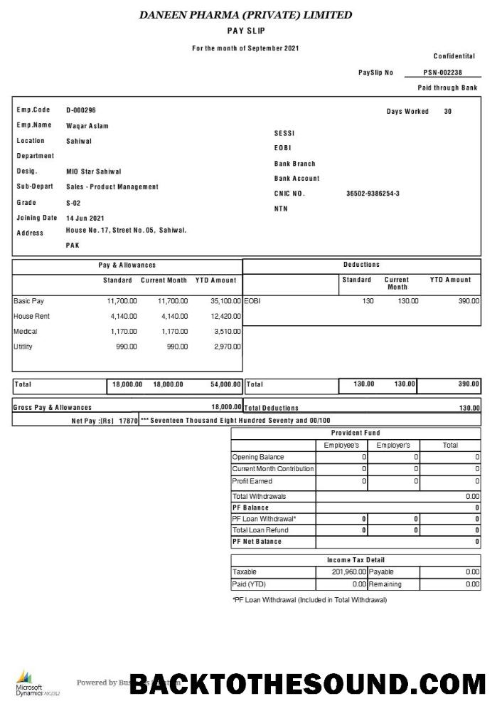 İndir Daneen Pharma payslip in Word and PDF Formatlar.PDF, 1 Örnek taslak