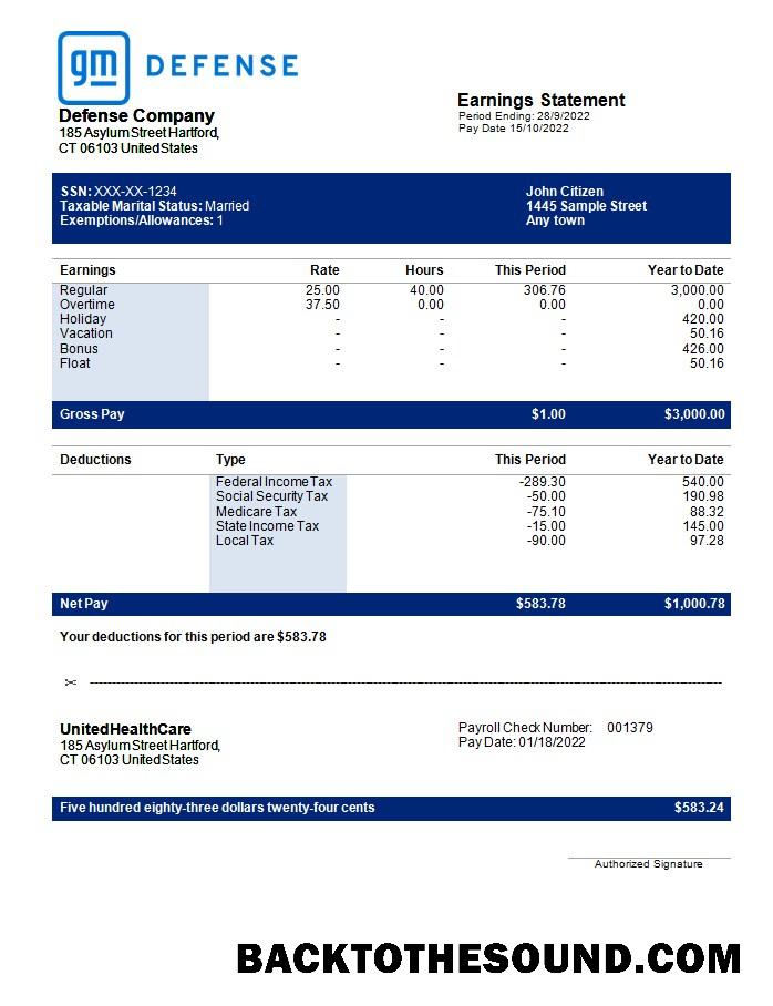 İndir Defence Şirket earning Hesap Özeti in Word and PDF Formatlar Örnek tasarım