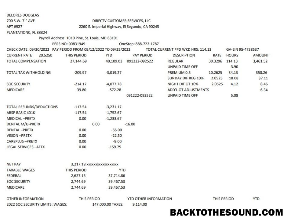 İndir Delores Douglas Paystub Örnek tasarım
