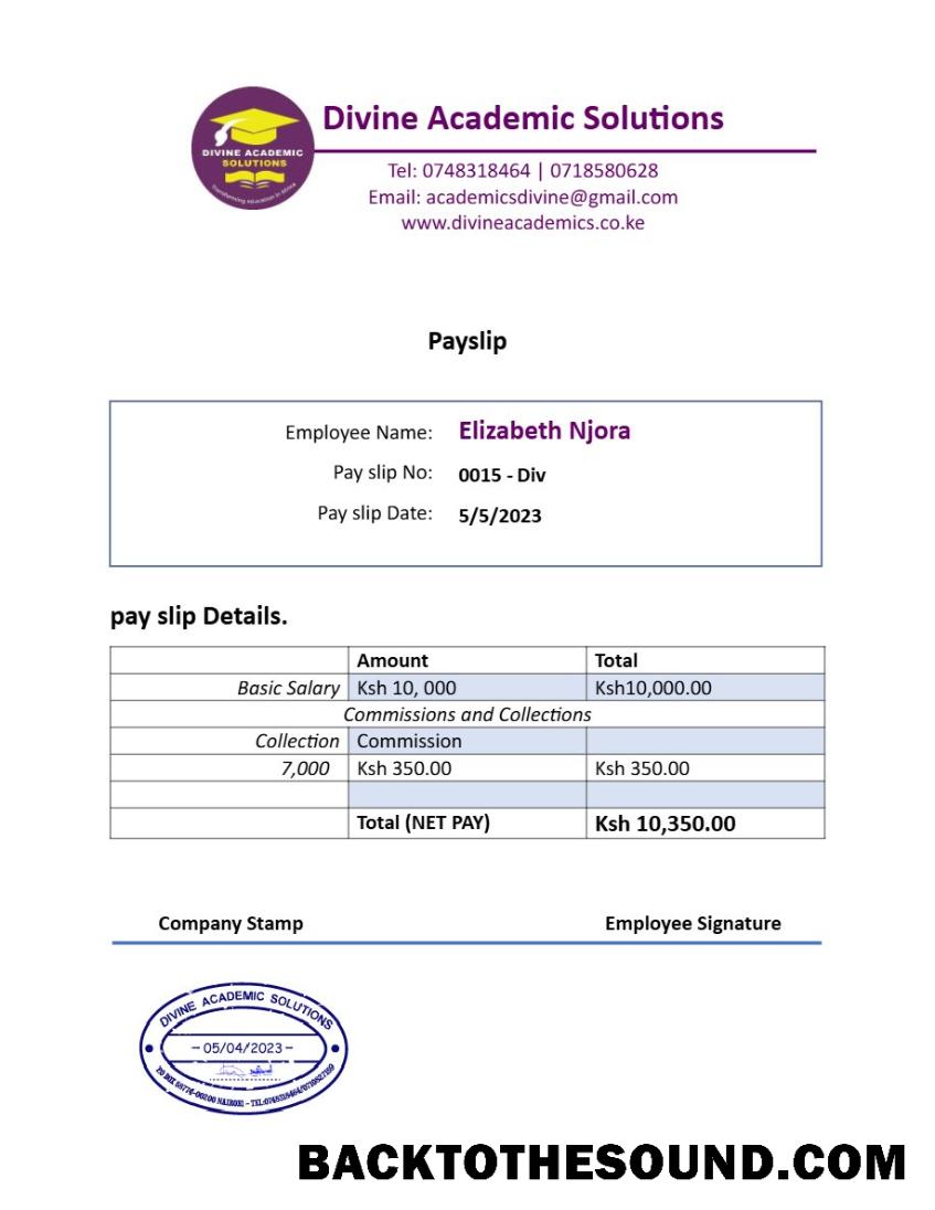 İndir Divine Academic Solutions payslip in Word and PDF Formatlar.PDF, 1 Örnek şablon