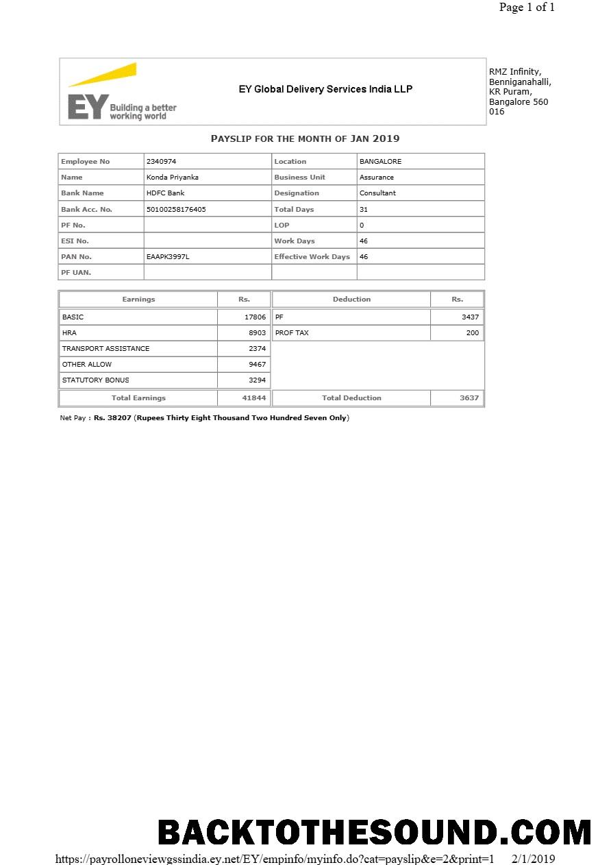 İndir EY Global Teslimat Services payslip in Word and PDF Formatlar.PDF, 1 Örnek şablon