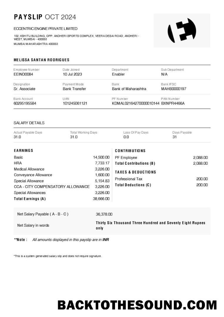 İndir Eccentric Engine payslip in Word and PDF Formatlar.PDF, 1 Örnek taslak