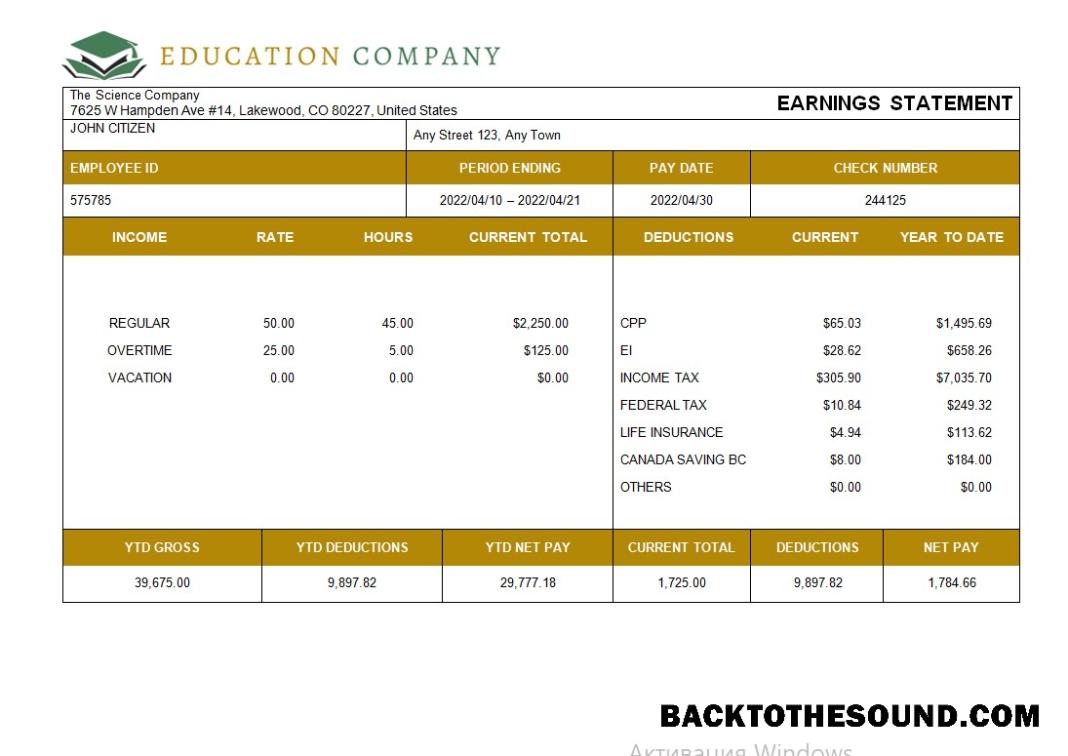 İndir eğitim Şirket fully Düzenlenebilir payslip in Word and Excel Formatlar Örnek tasarım