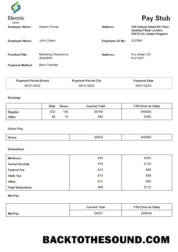 İndir Electric power pay stub in Word and PDF Formatlar Örnek ön izleme