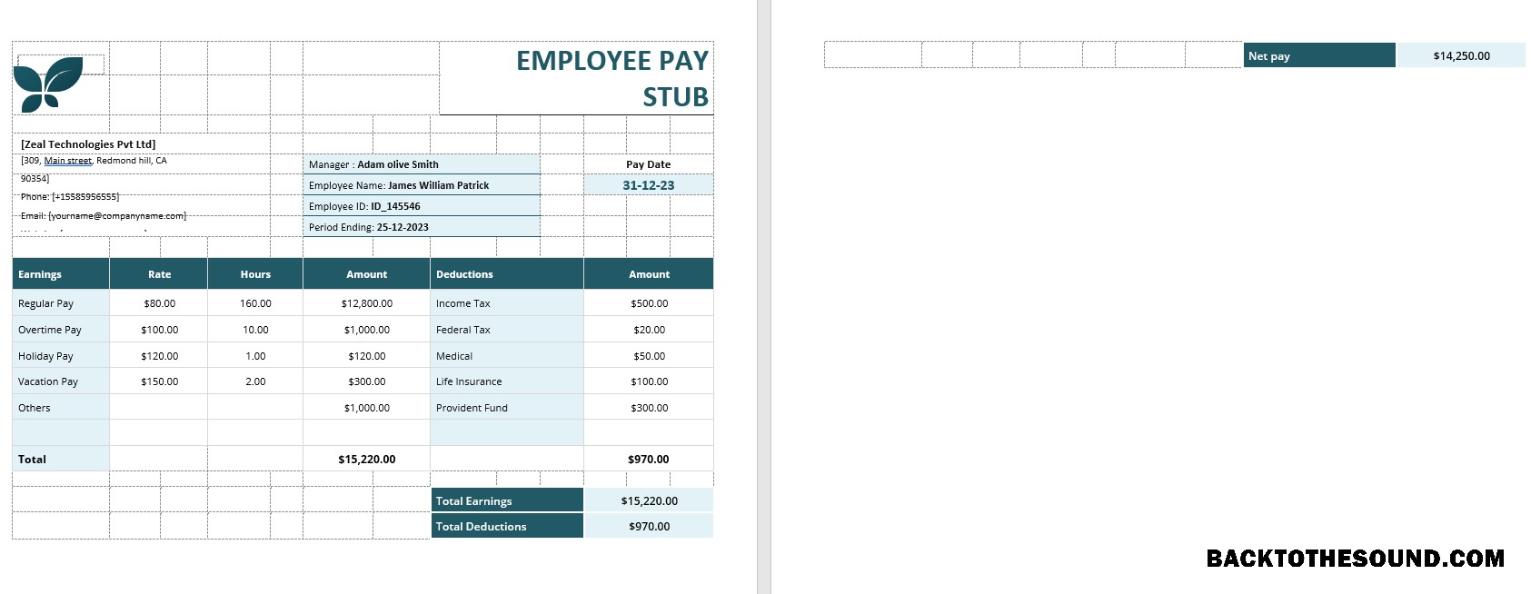 İndir Employee Pay Stub Örnek taslak
