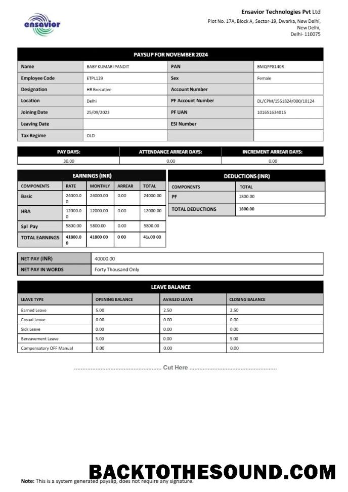 İndir Ensavior Technologies payslip in Word and PDF Formatlar.PDF, 1 Örnek ön izleme