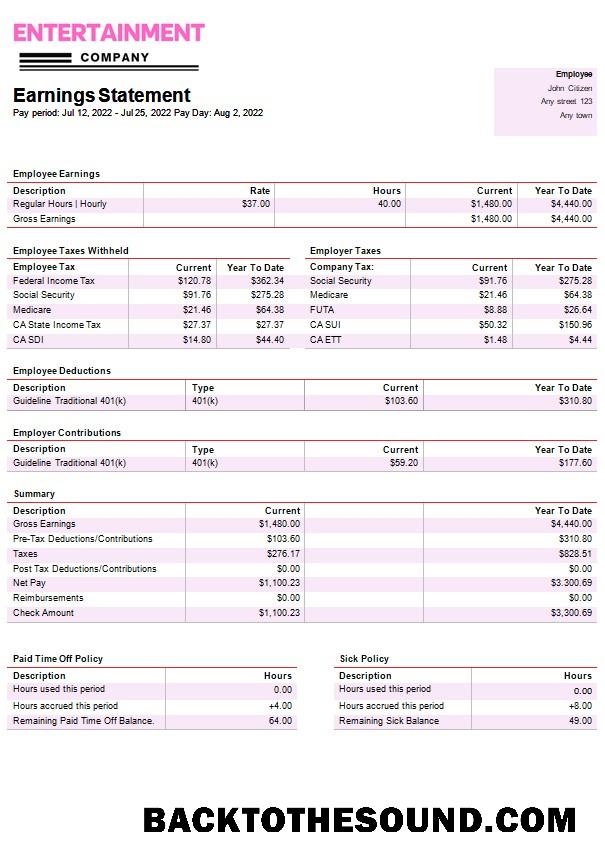 İndir Entertainment Şirket paystub in Word and PDF Formatlar Örnek tasarım