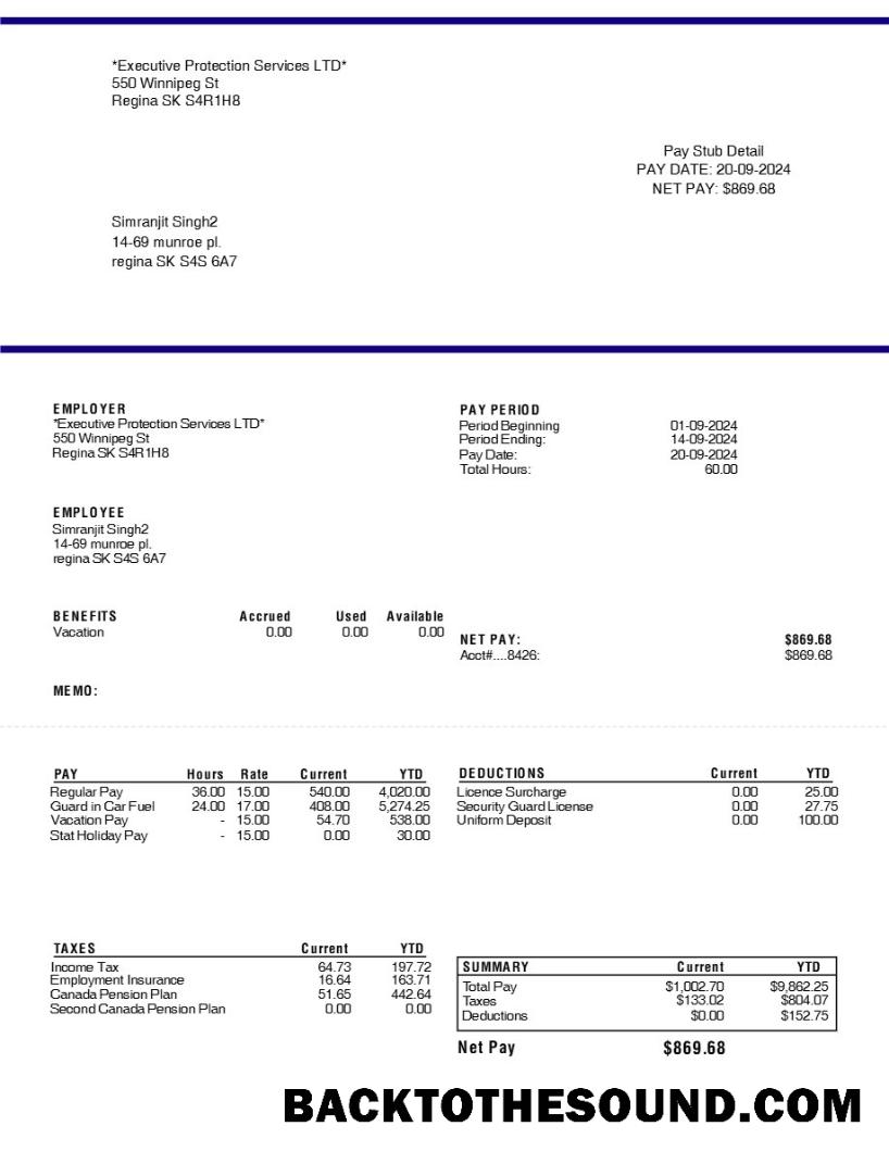 İndir Executive Protection Services LTD pay stub in Word and PDF Formatlar.PDF, 1 Örnek tasarım