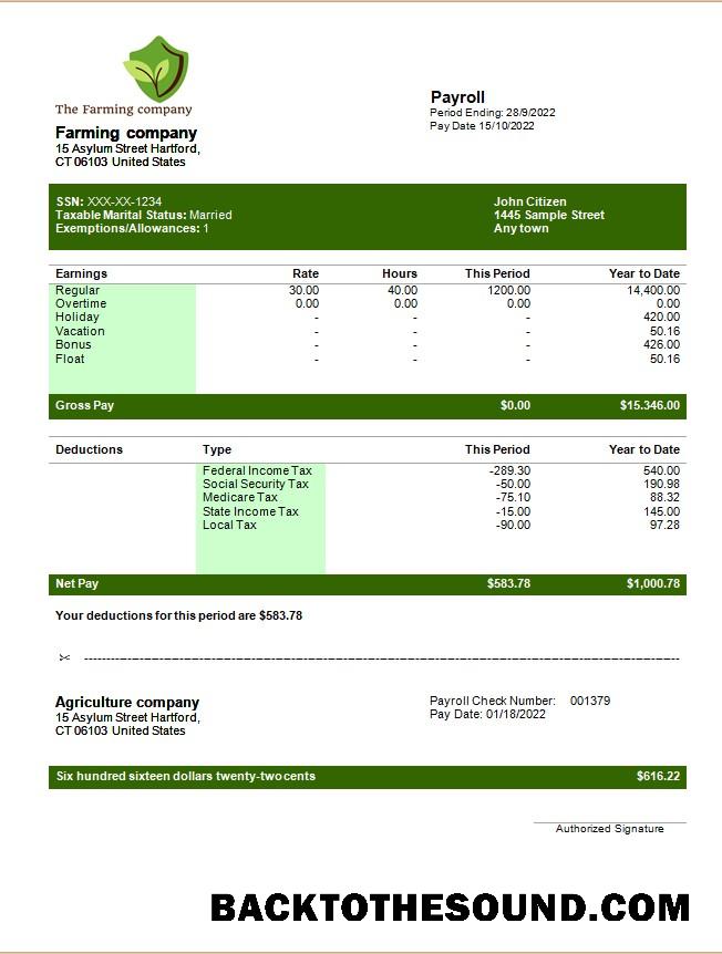 İndir Farming Şirket Düzenlenebilir earning Hesap Özeti in Word and PDF Formatlar Örnek şablon