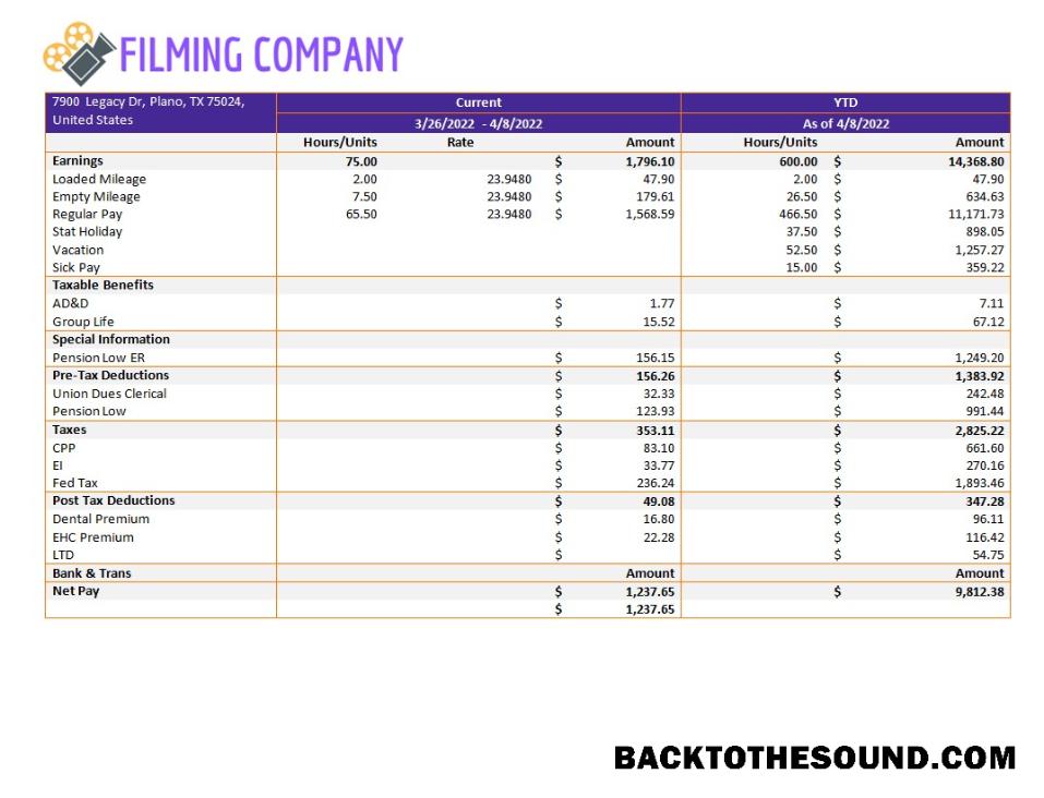 İndir Filming Şirket pay stub in Word and PDF Formatlar Örnek örnek