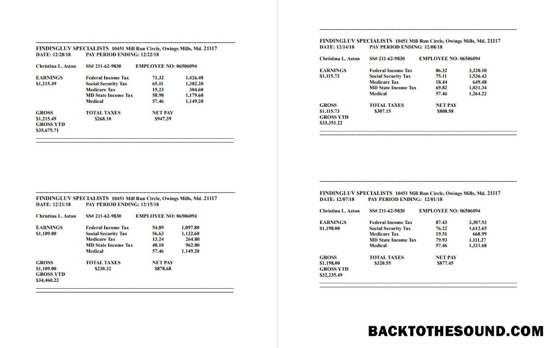 İndir Findingluv specialits Şirket pay stub in PDF and Word Format Örnek örnek